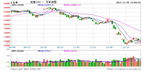 Mysteel解读：年底供应压力大，猪价跌至成本线附近博弈