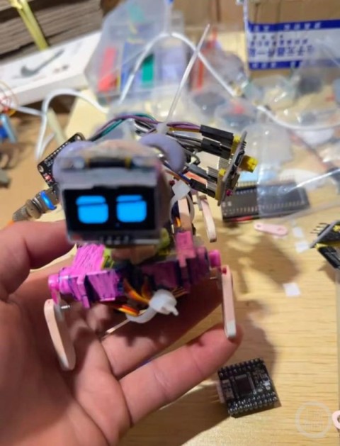 老虎機：小夥初中學歷靠自學造出“賽博小狗”，幾聲狗吠讓不少人淚目