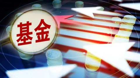 重磅！2022年基金"战况"出炉，他一人包揽冠亚军！指数型基金"大溃败"，这类QDII成功霸屏（附表格）