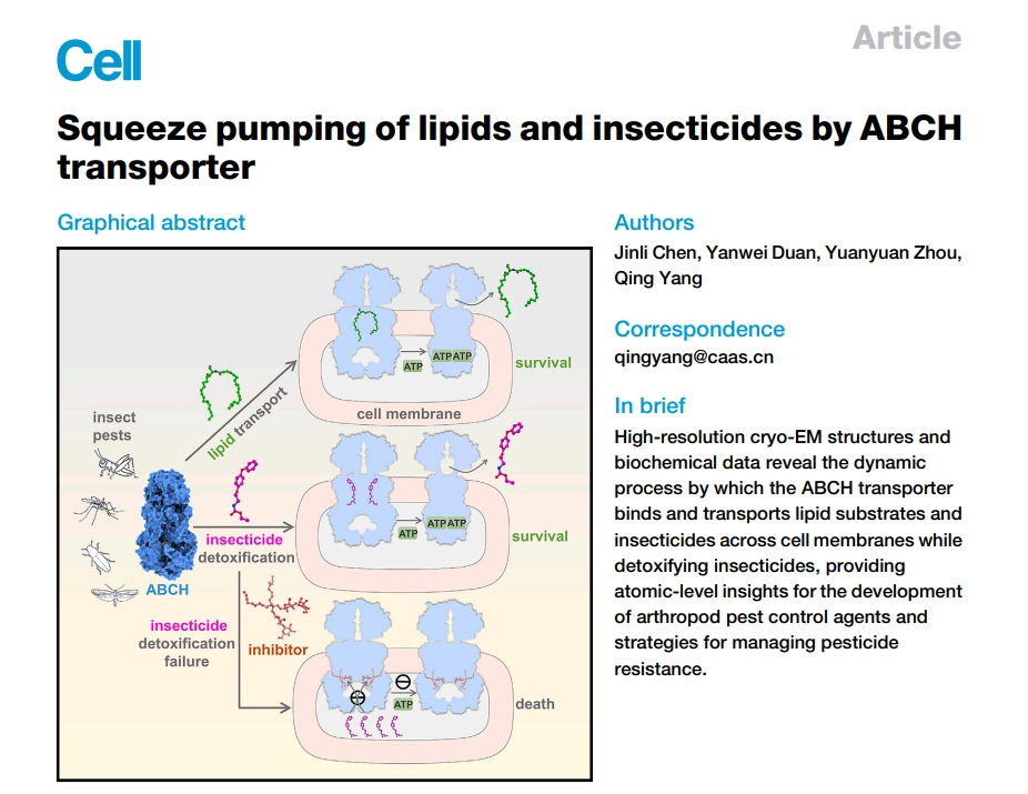 娛樂城:我國科學家揭示害蟲抗葯的關鍵機制,正爲推進成果産業化而努力