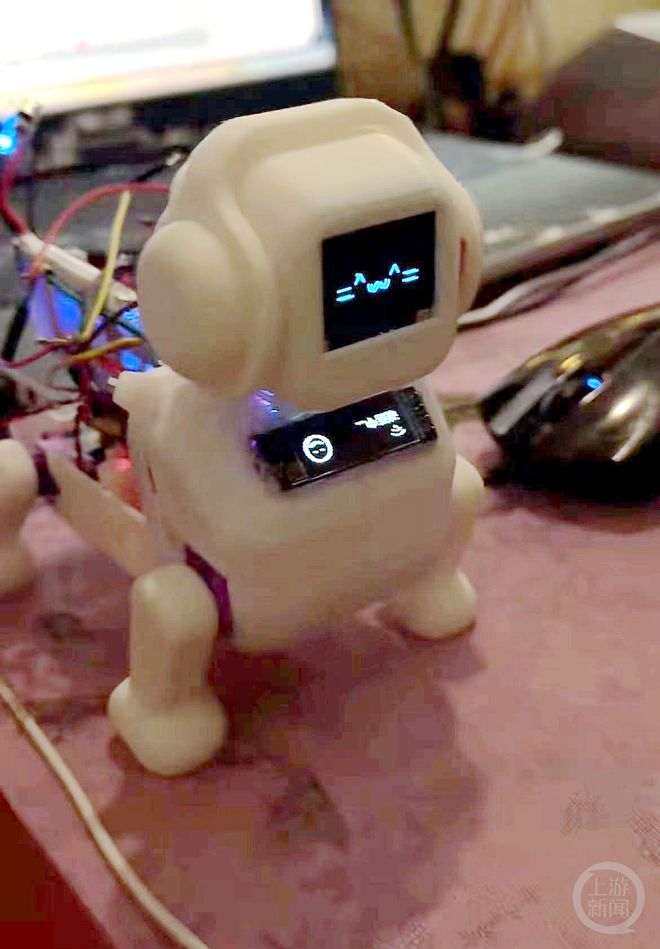 老虎機:小夥初中學歷靠自學造出“賽博小狗”,幾聲狗吠讓不少人淚目