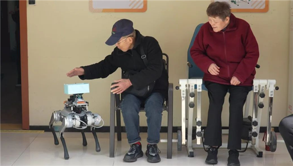 投注:能送葯、會嘮嗑,這衹杭州造機器狗如何“跑”進百姓生活