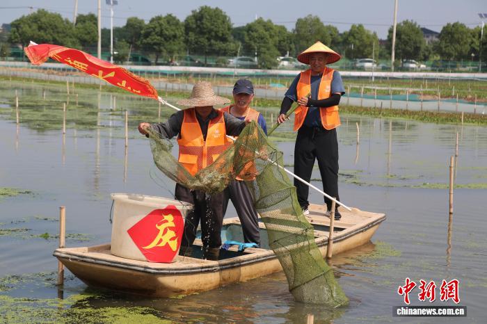 投注:浙江湖州:萬畝太湖蟹喜獲豐收