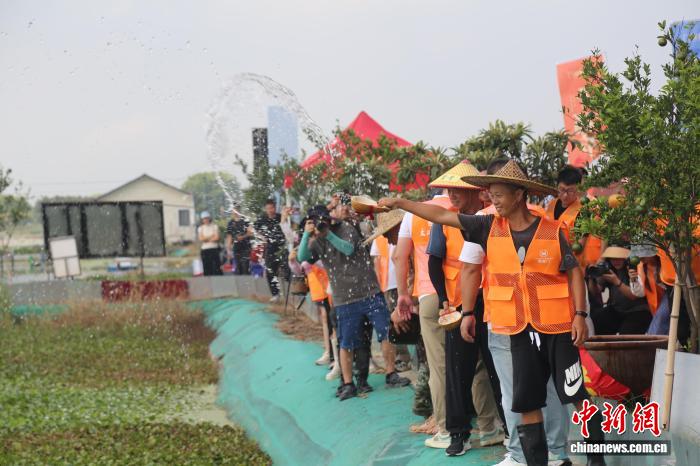投注:浙江湖州:萬畝太湖蟹喜獲豐收