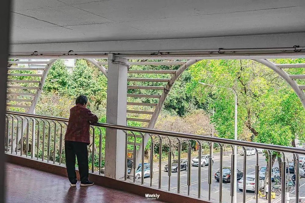 老虎機:花8萬元,給在深圳打零工的母親補繳社保