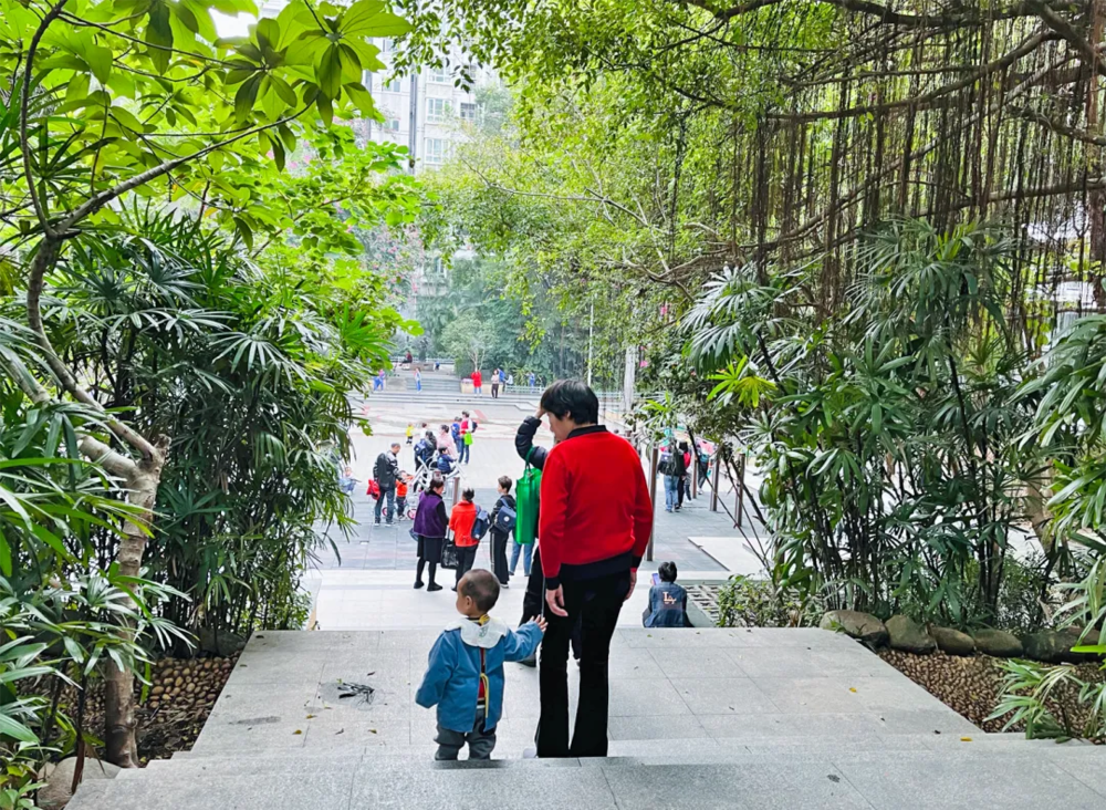 老虎機:花8萬元,給在深圳打零工的母親補繳社保