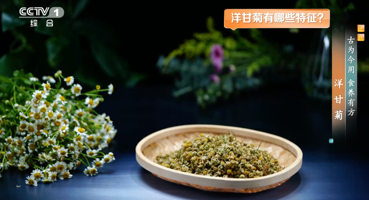 皇朝娛樂：這種花是天然“消炎葯”還能增強免疫力 有幾類人要慎用
