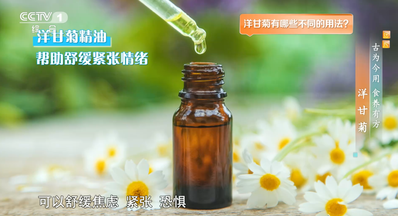 皇朝娛樂：這種花是天然“消炎葯”還能增強免疫力 有幾類人要慎用