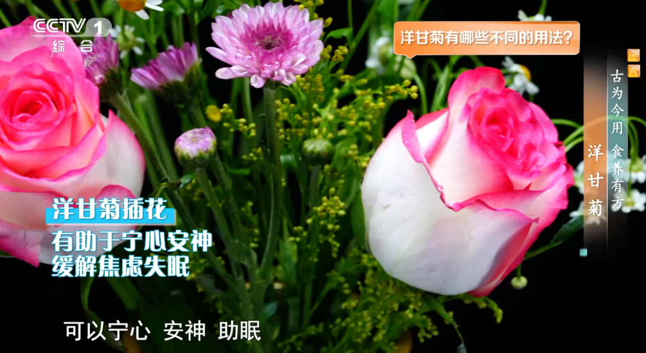 皇朝娛樂：這種花是天然“消炎葯”還能增強免疫力 有幾類人要慎用