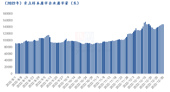 Mysteel解读：年底供应压力大，猪价跌至成本线附近博弈